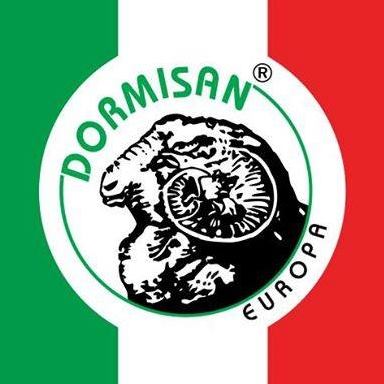 Dormisan